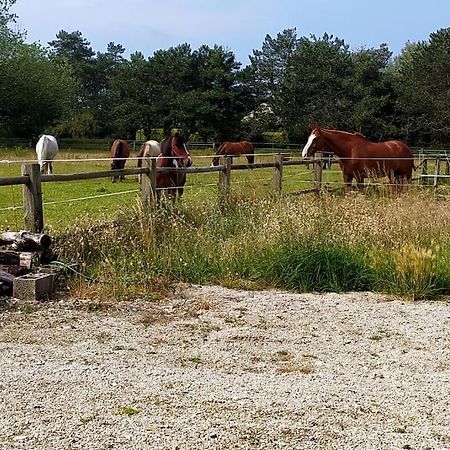 Le Gite De La Ferme Portbail Extérieur photo