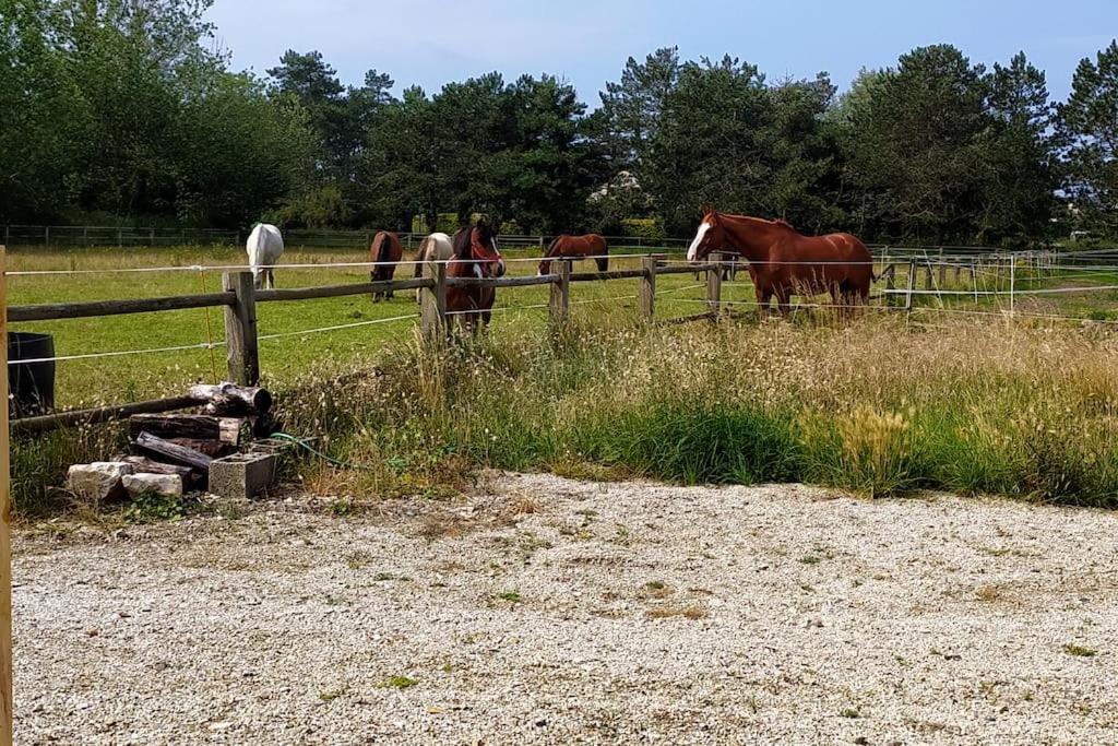 Le Gite De La Ferme Portbail Extérieur photo