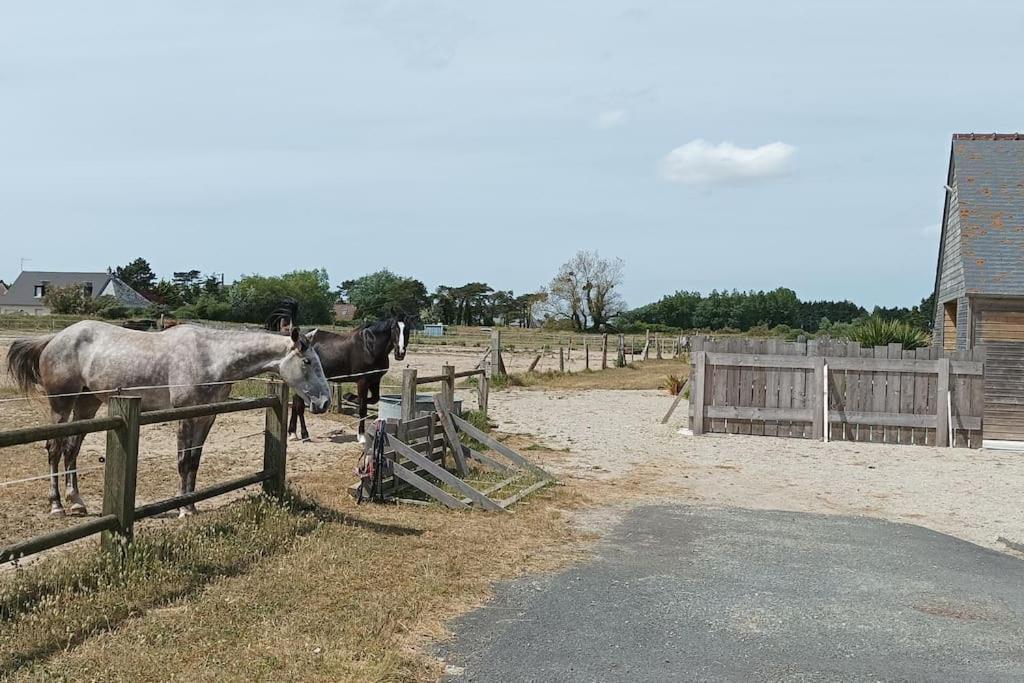 Le Gite De La Ferme Portbail Extérieur photo